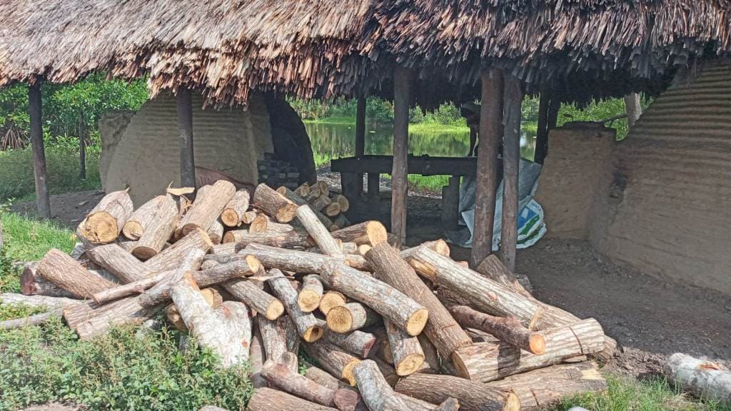 Tradición carbonera: cómo se elabora el carbón vegetal en Villa del Carbón